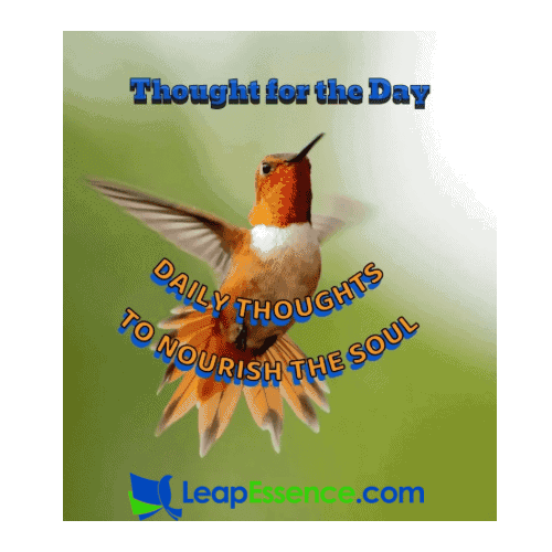 A Thought for the Day